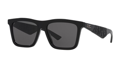 DIOR - B27 S1I