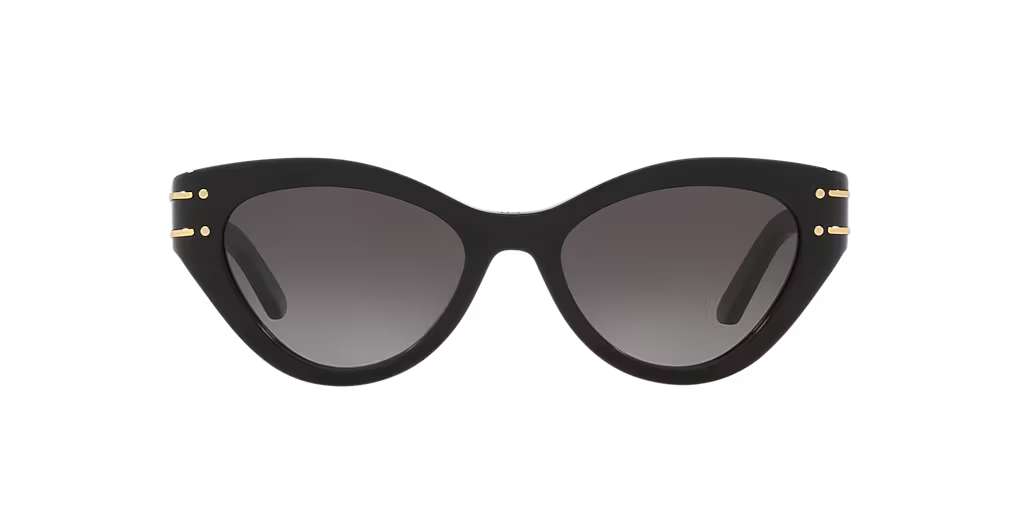 DIOR - SIGNATURE B7I