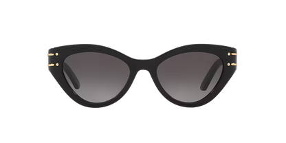 DIOR - SIGNATURE B7I