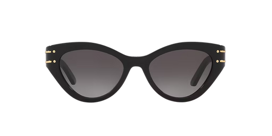 DIOR - SIGNATURE B7I