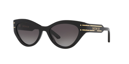 DIOR - SIGNATURE B7I