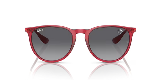 Ray-Ban - RB4171 "Erika"