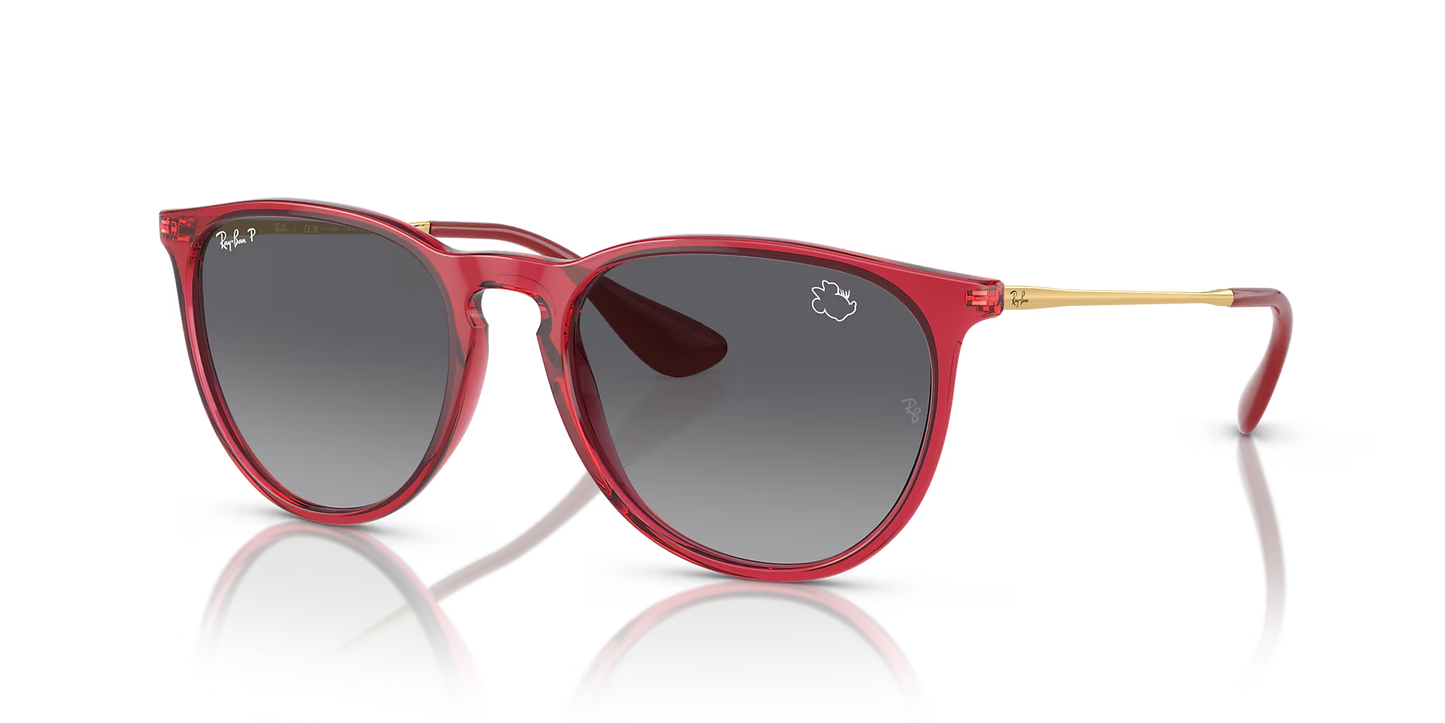 Ray-Ban - RB4171 "Erika"